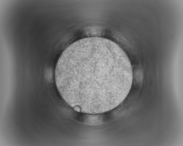 X0000111860709200908131459