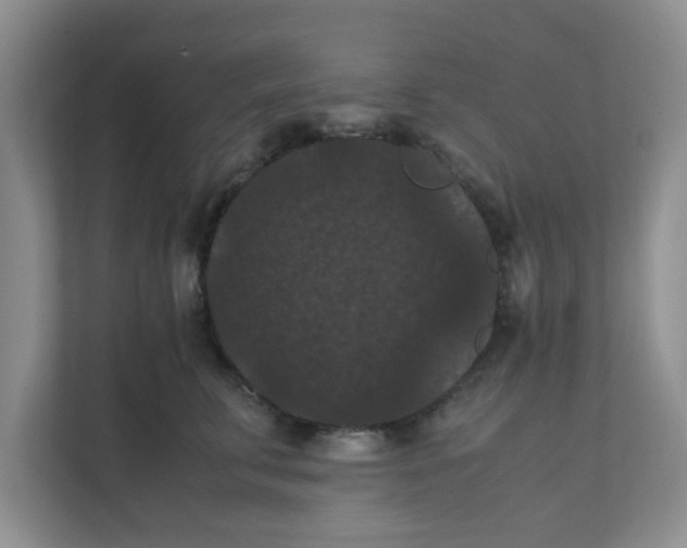 X0000111860711200908131459