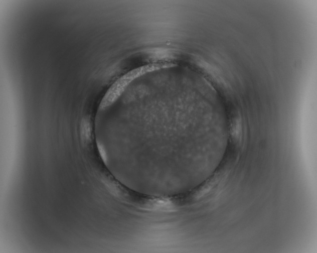 X0000111860715200908131459