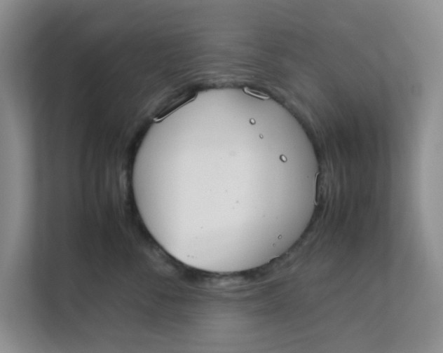 X0000111860716200908131459