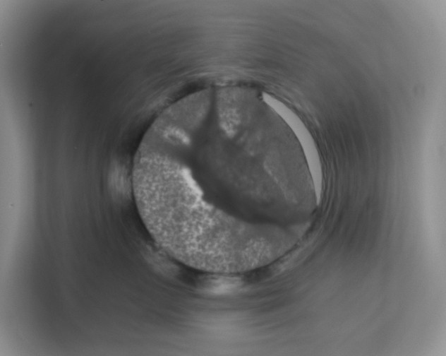 X0000111860719200908131459