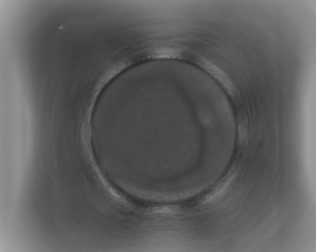 X0000111860721200908131458