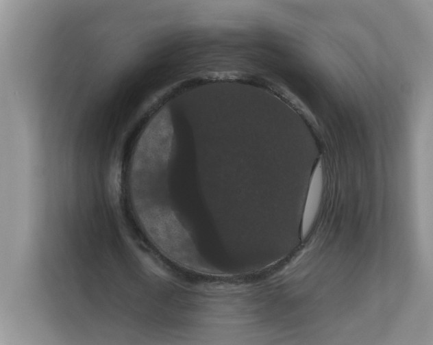 X0000111860722200908131458