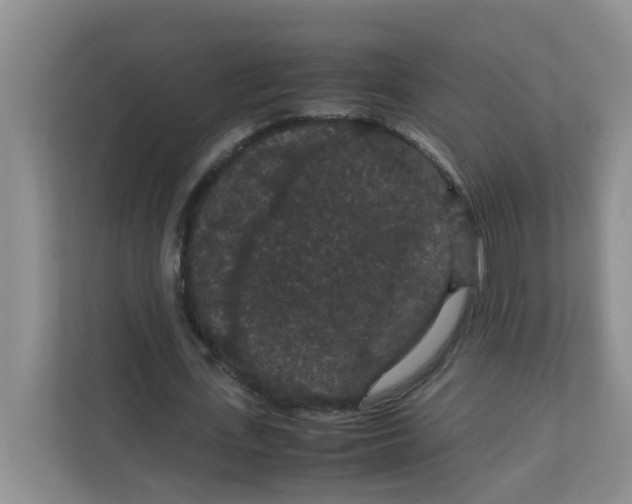 X0000111860723200908131458