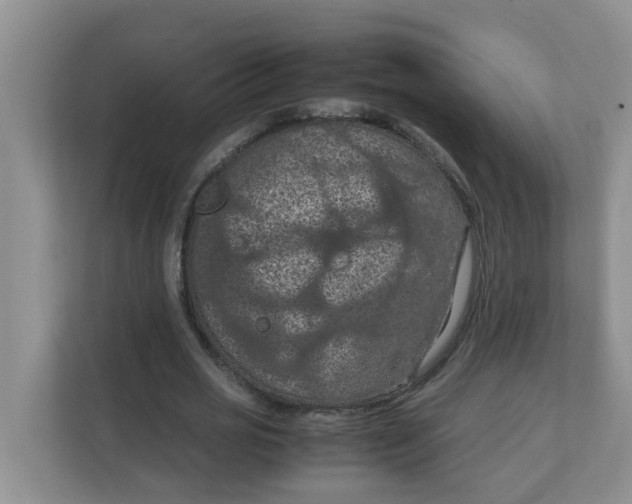 X0000111860725200908131458