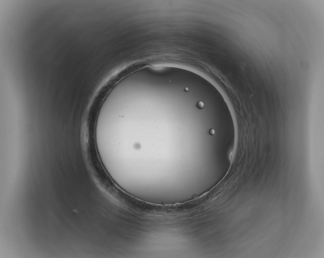 X0000111860726200908131458