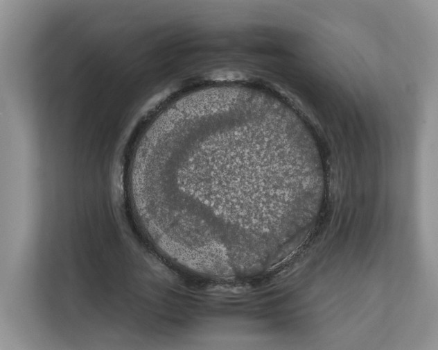 X0000111860727200908131458