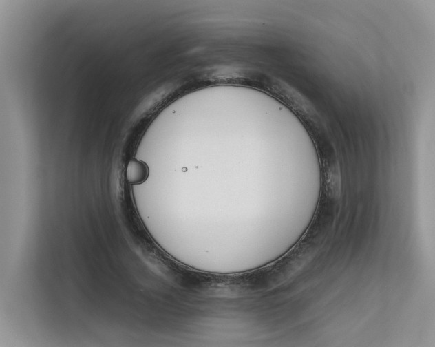 X0000111860732200908131458