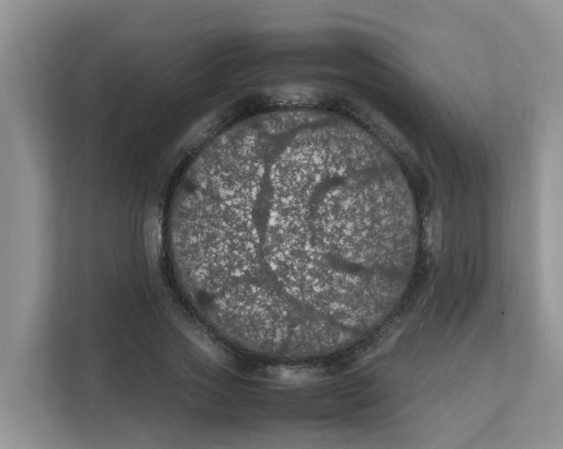 X0000111860733200908131459