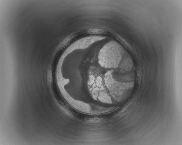 X0000111860734200908131459