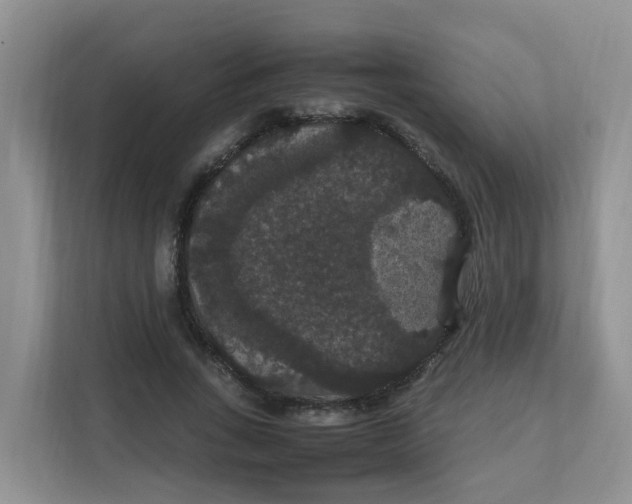 X0000111860735200908131459