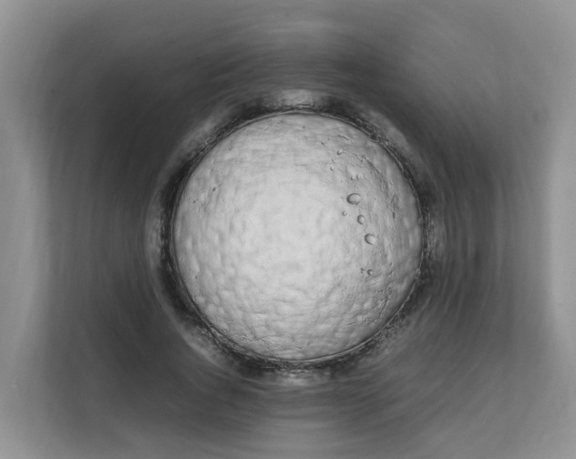 X0000111860736200908131459