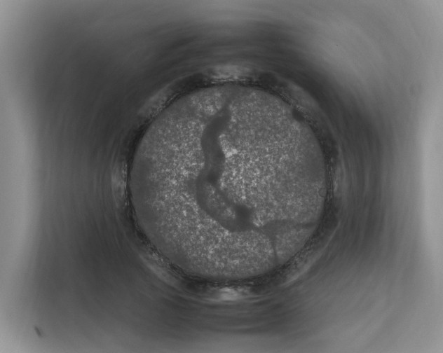 X0000111860737200908131459