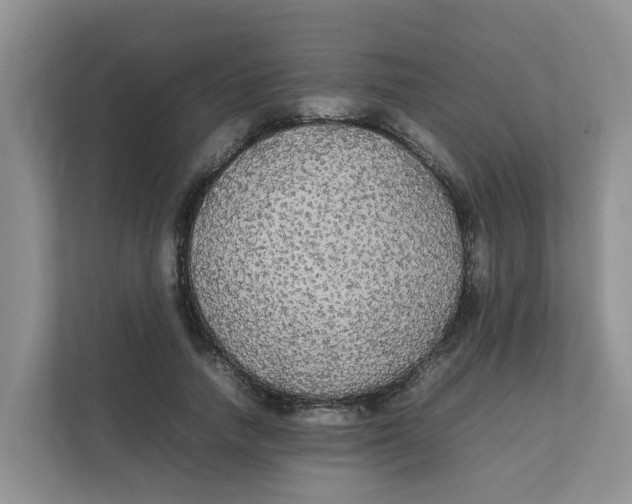 X0000111860738200908131459