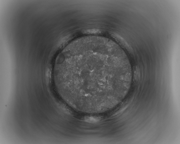 X0000111860739200908131459