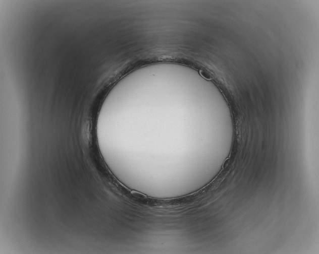 X0000111860740200908131459