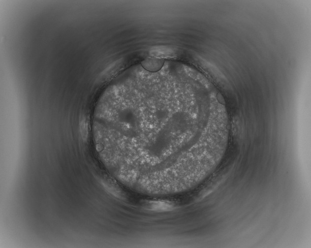 X0000111860741200908131459