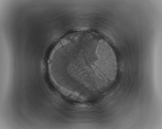 X0000111860743200908131459