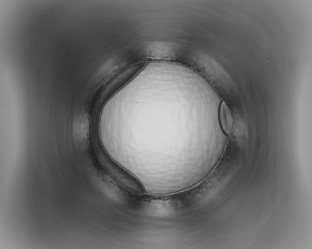 X0000111860744200908131459