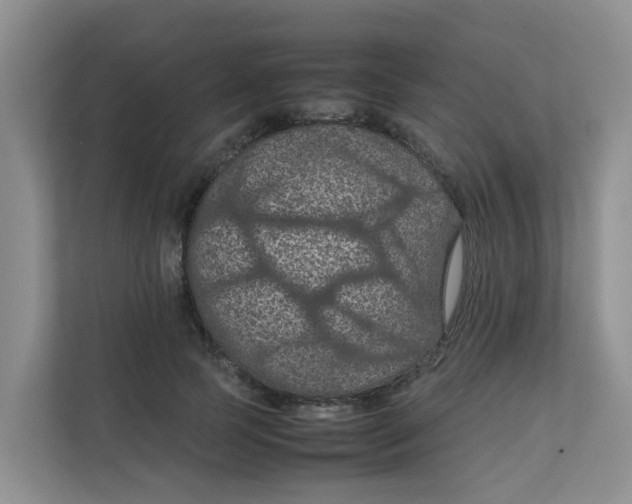 X0000111860745200908131459