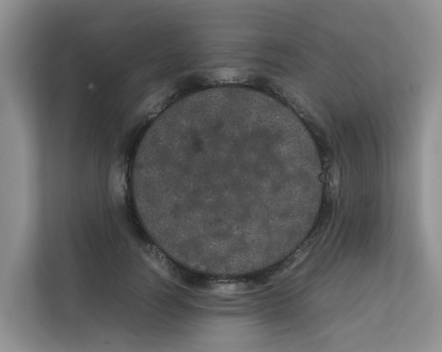 X0000111860746200908131459