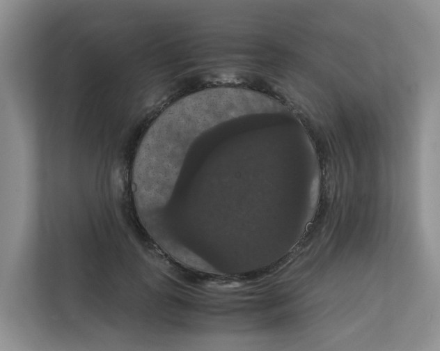 X0000111860747200908131459