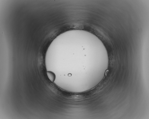 X0000111860748200908131459