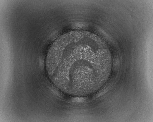 X0000111860749200908131459