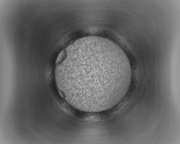 X0000111860750200908131459