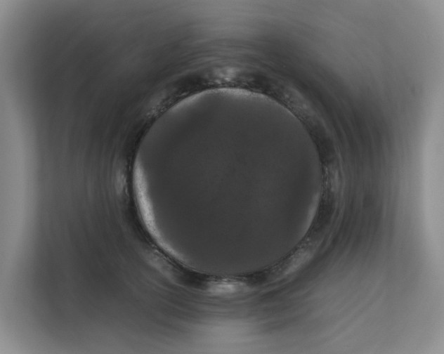 X0000111860754200908131459