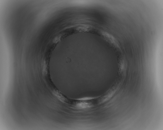 X0000111860759200908131459