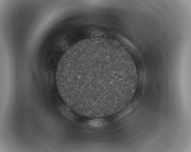 X0000111860761200908131459