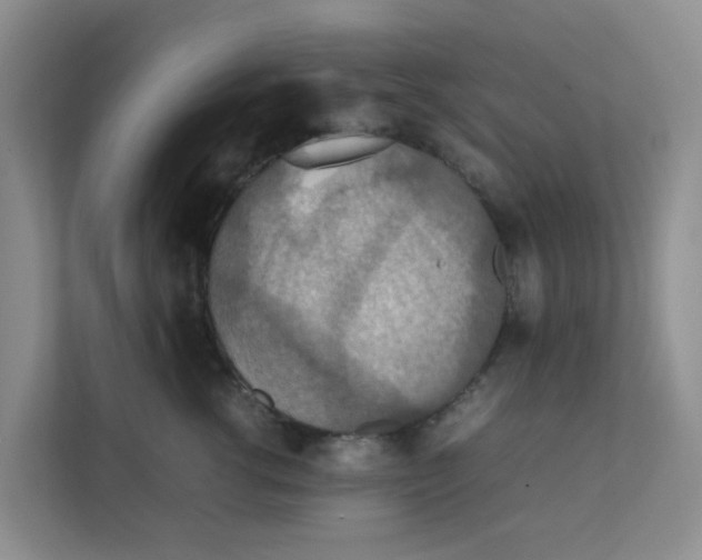 X0000111860762200908131459