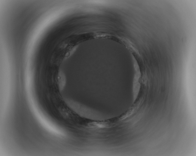 X0000111860763200908131459