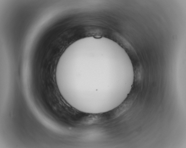 X0000111860764200908131459