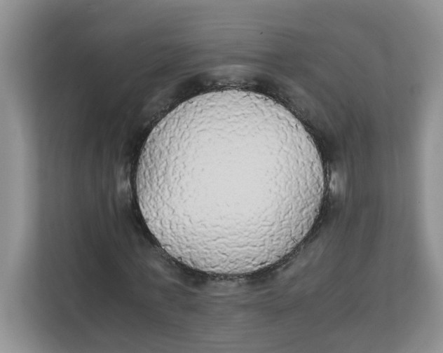 X0000111860771200908131458