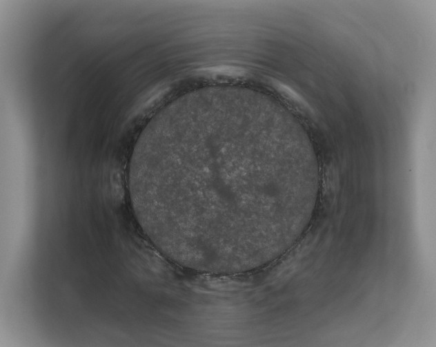 X0000111860774200908131458