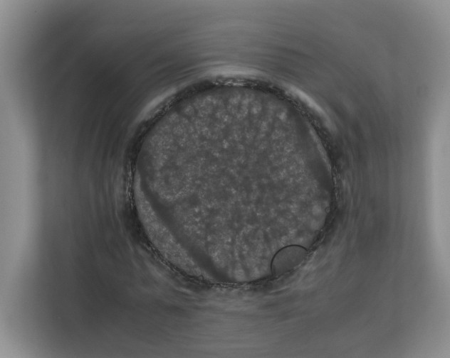 X0000111860775200908131458