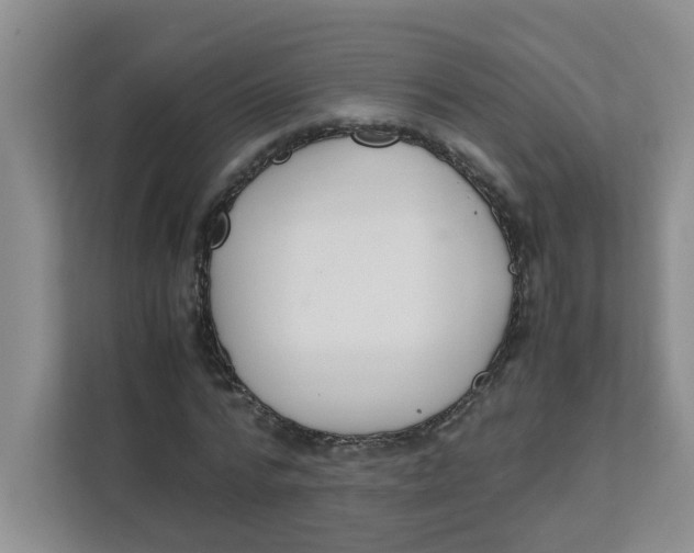 X0000111860776200908131458