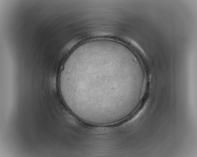 X0000111860777200908131458