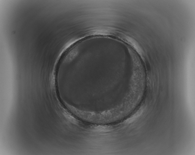 X0000111860779200908131458