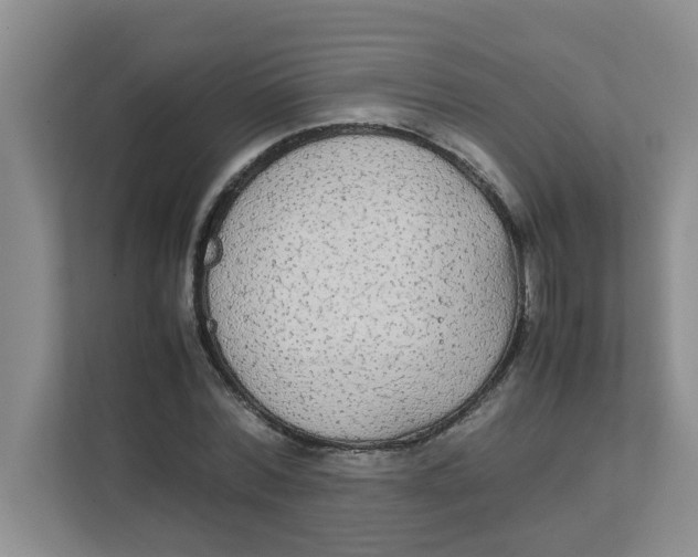 X0000111860780200908131458