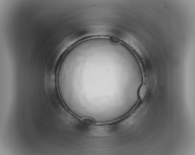 X0000111860781200908131458