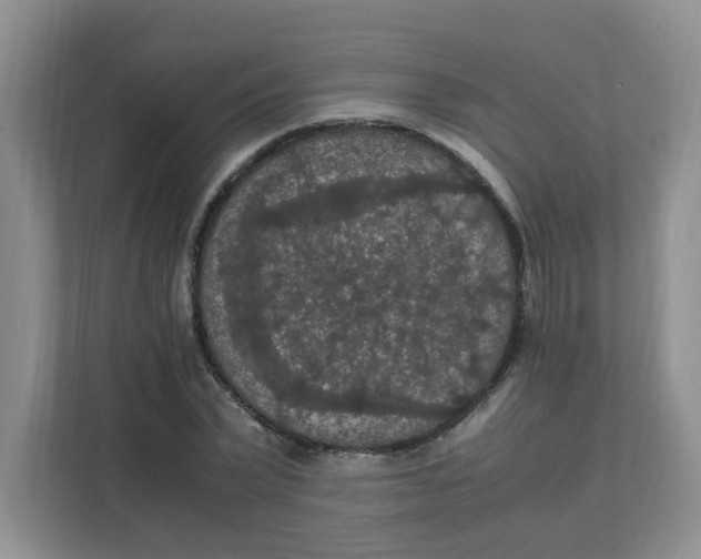 X0000111860783200908131458