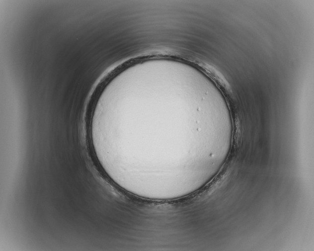 X0000111860784200908131458