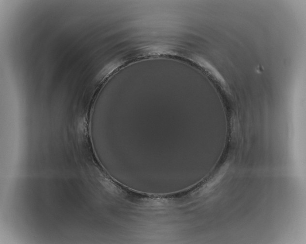 X0000111860785200908131458