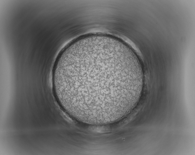 X0000111860791200908131458