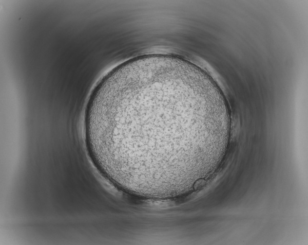 X0000111860795200908131458