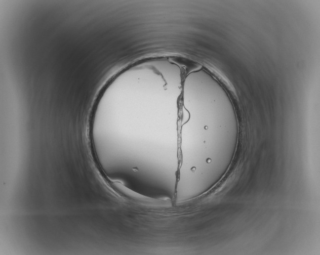 X0000111860797200908131458