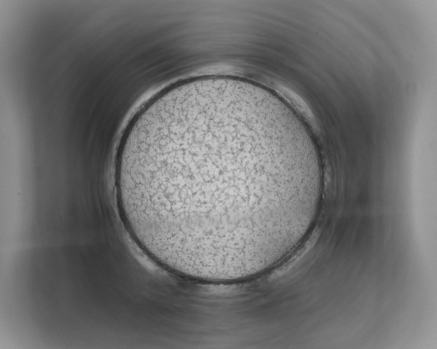 X0000111860800200908131458